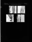 Union Carbonide plant construction (4 Negatives) (July 23, 1963) [Sleeve 37, Folder b, Box 30]